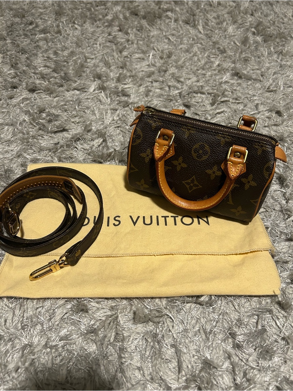 Louis Vuitton speedy nano Authentic